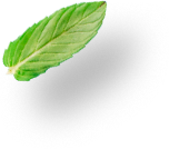 img-fruit6